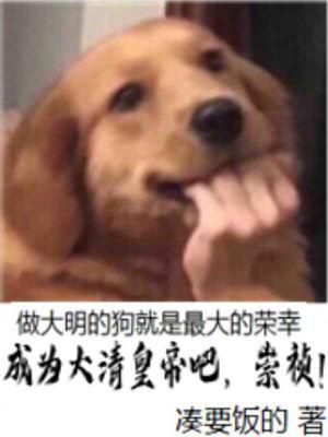 我成了崇祯合伙