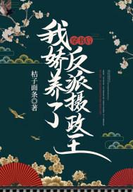 我娇养了反派摄政王TXT
