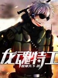 龙魂特工叶子枫免费全文阅读