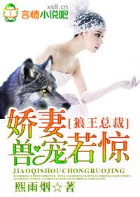 狼王老公是总裁