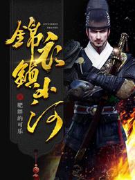 锦衣镇山河十三太保介绍