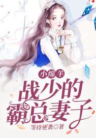 战少的小小妻