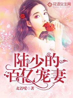 陆少的百亿宠妻全文阅读